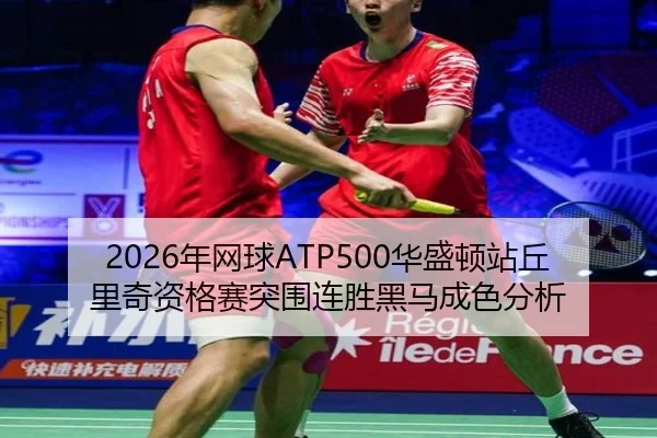 nian-wang-qiu-hua-sheng-dun-zhan-qiu-li-qi-zi-ge-sai-tu-wei-lian-sheng-hei-ma-cheng-se-fen-xi-1-438.jpg