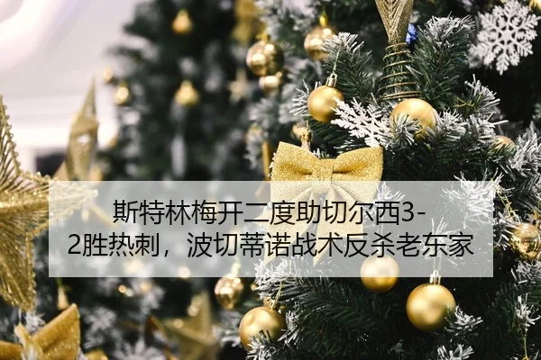 si-te-lin-mei-kai-er-du-zhu-qie-er-xi-sheng-re-ci-bo-qie-di-nuo-zhan-shu-fan-sha-lao-dong-jia-2-499.jpg